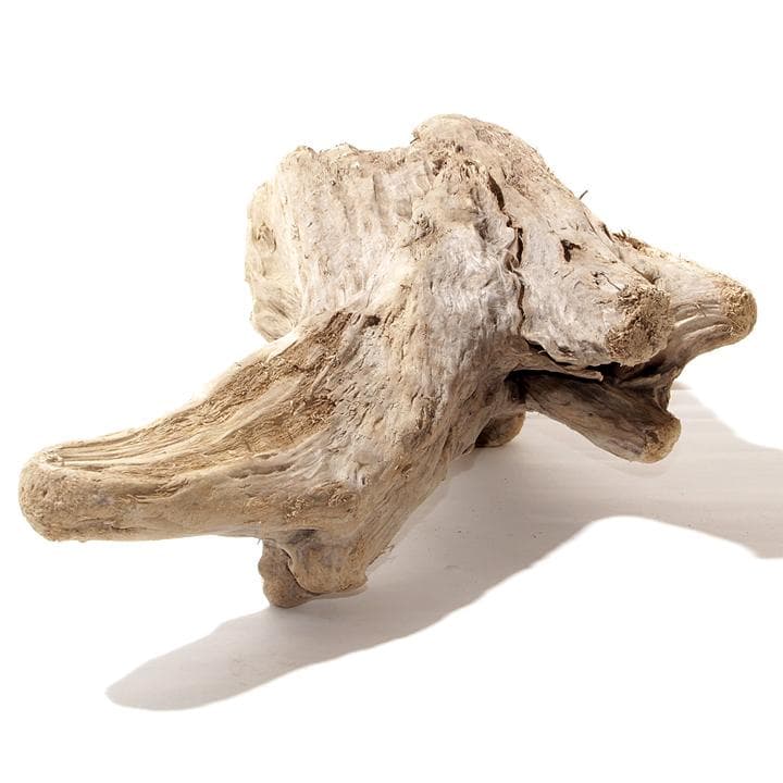 流木 インテリア レイアウト 61cm DIY アクアリウム 天然 rybk17