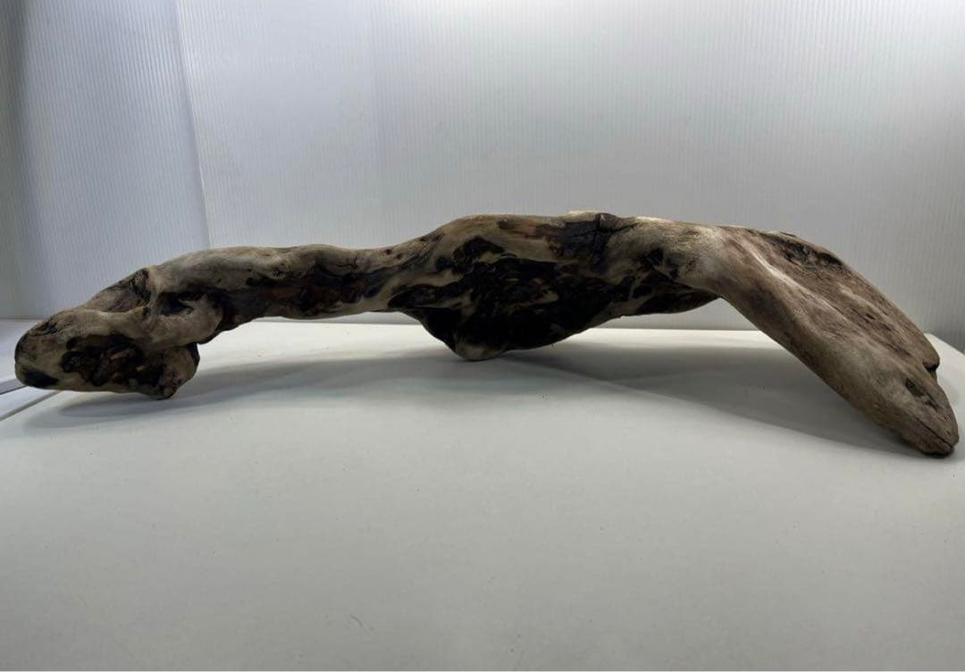 専用品 大型流木 アク抜き済み