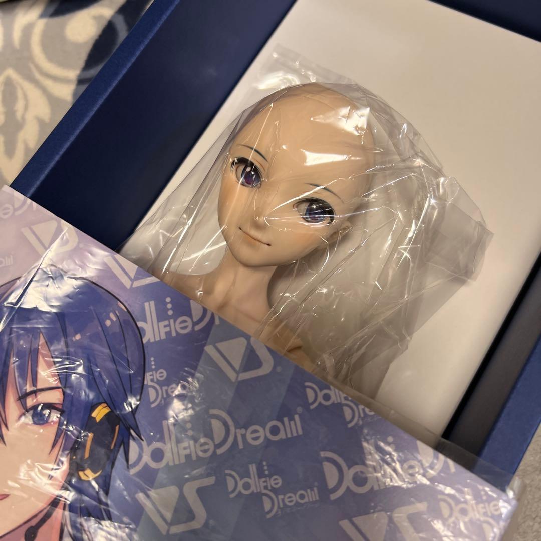 DD KAITO ボークス ドール ドルフィードリーム マジミラ　新品