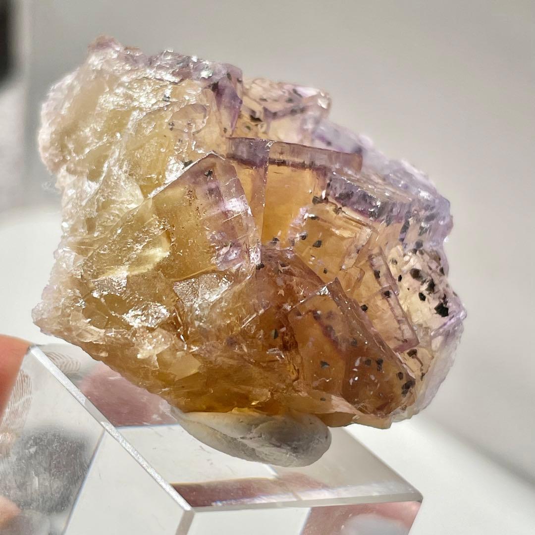 384 イリノイ州産 フローライト&キャルコパイライト