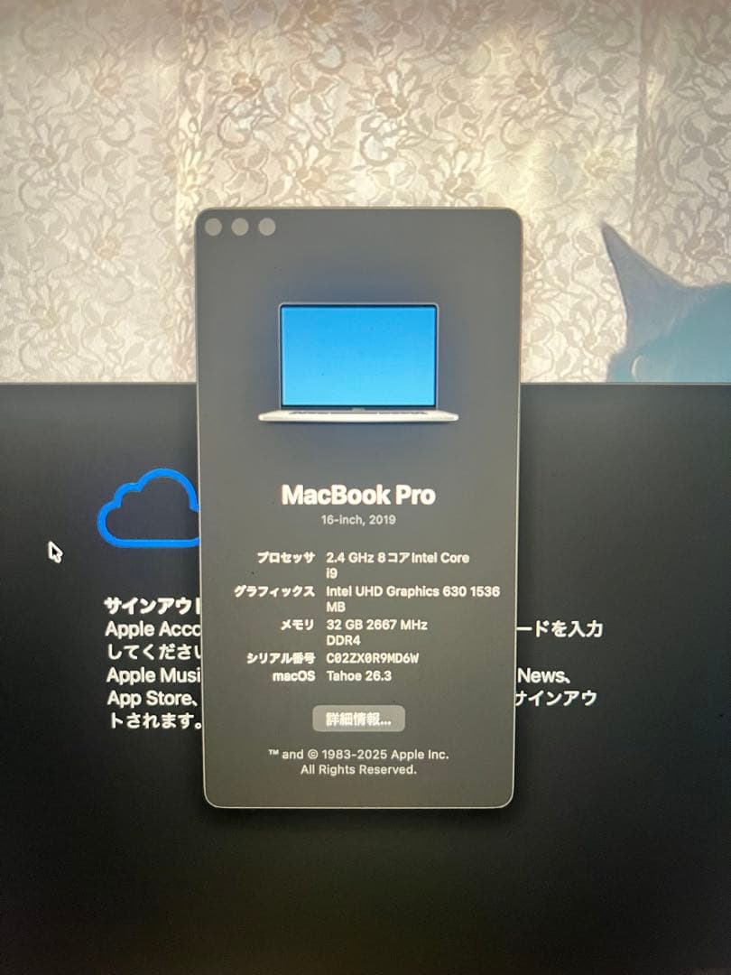 MacBook Pro 2019 core i9 32GB 1Tb ※説明必読