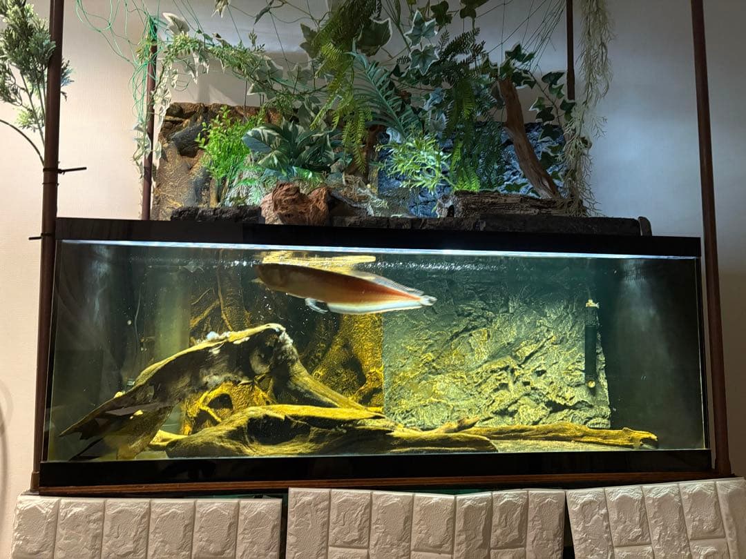 オーバーフロー濾過水セット(アクリル・120cm)　LED照明付(直接受渡歓迎)