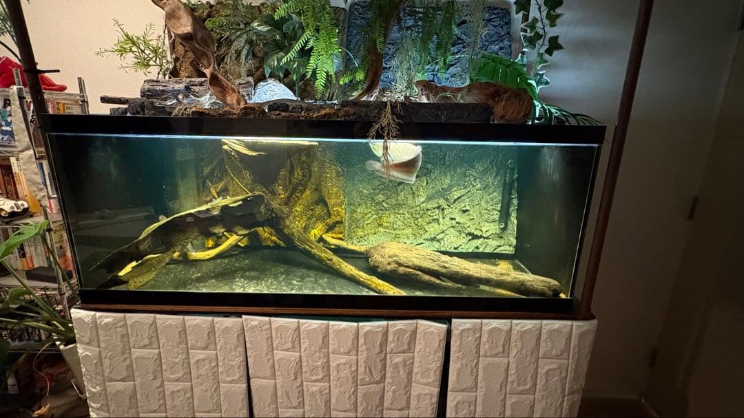 オーバーフロー濾過水セット(アクリル・120cm)　LED照明付(直接受渡歓迎)