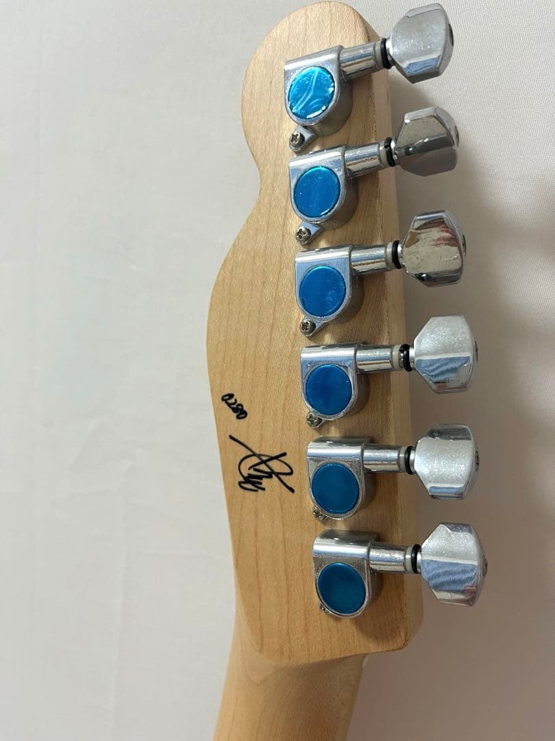 【初心者さんにおすすめ】ノンラビ 田口達也 オリジナルギター エレキギター