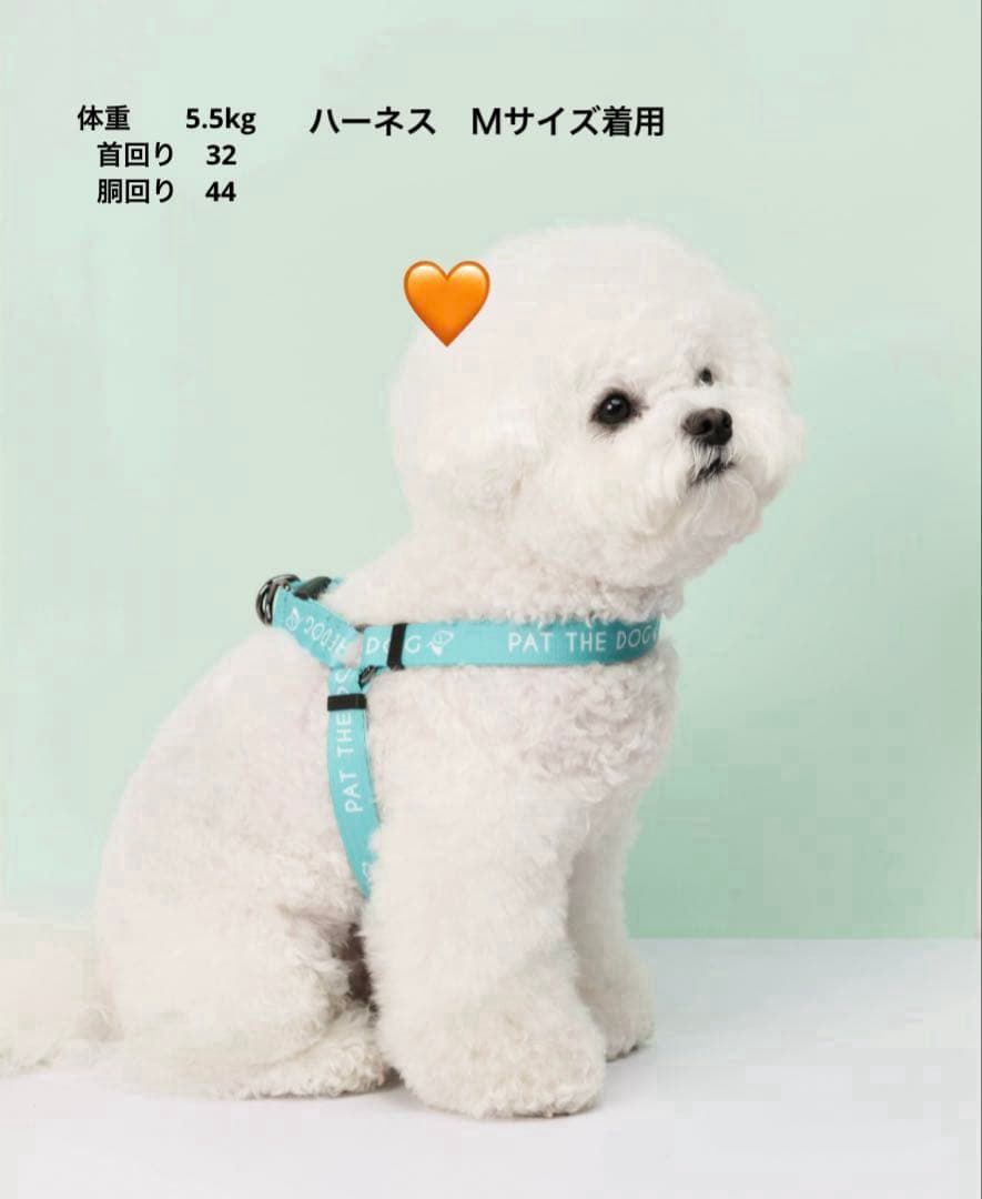 PAT THE DOG リード　ハーネス　2点セット　ティファニーブルー　犬