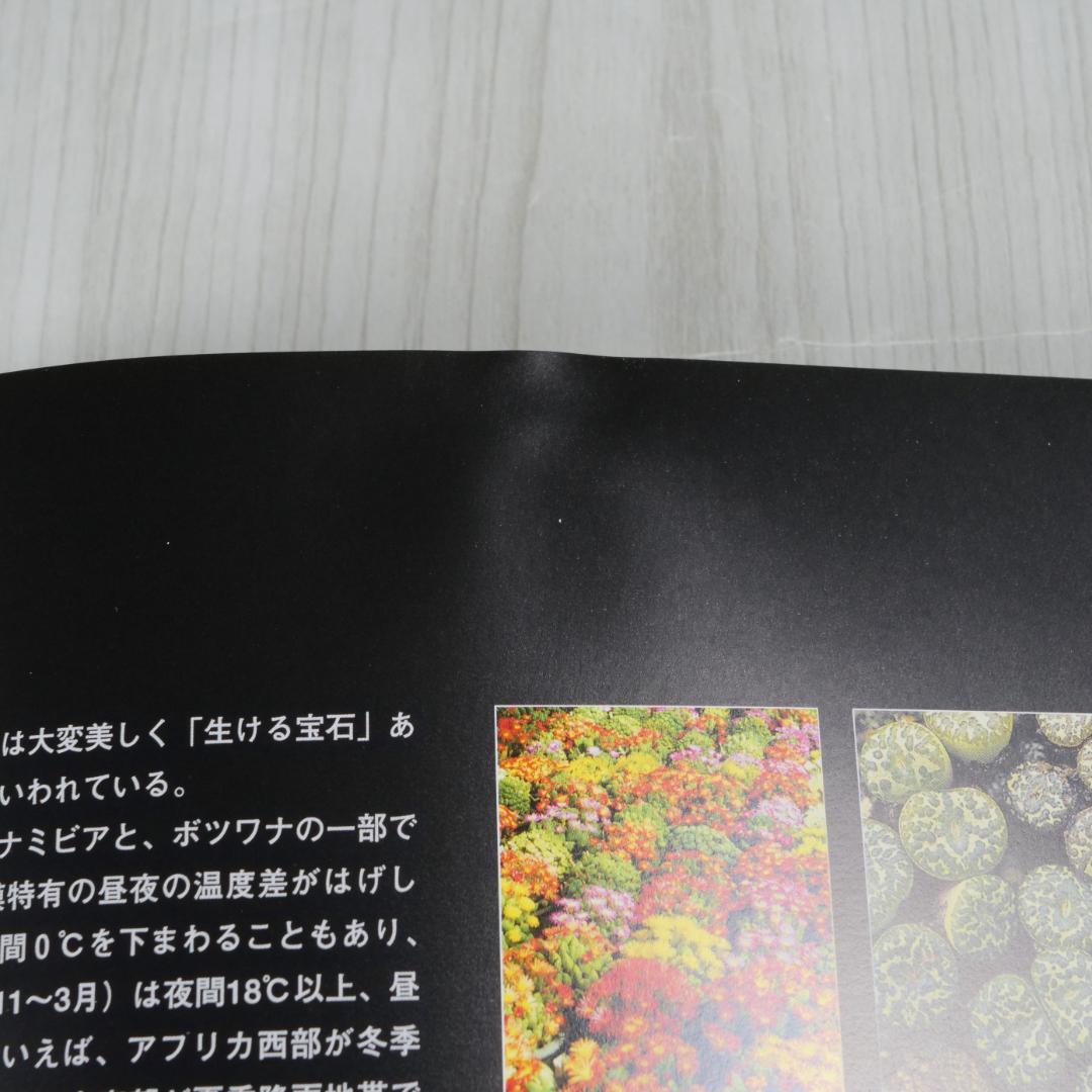 多肉植物写真集 第1巻 & 第2巻 セット