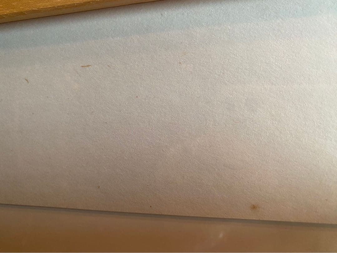 ヴィンセント ヴァン ゴッホ 額縁 インテリア 花の花瓶