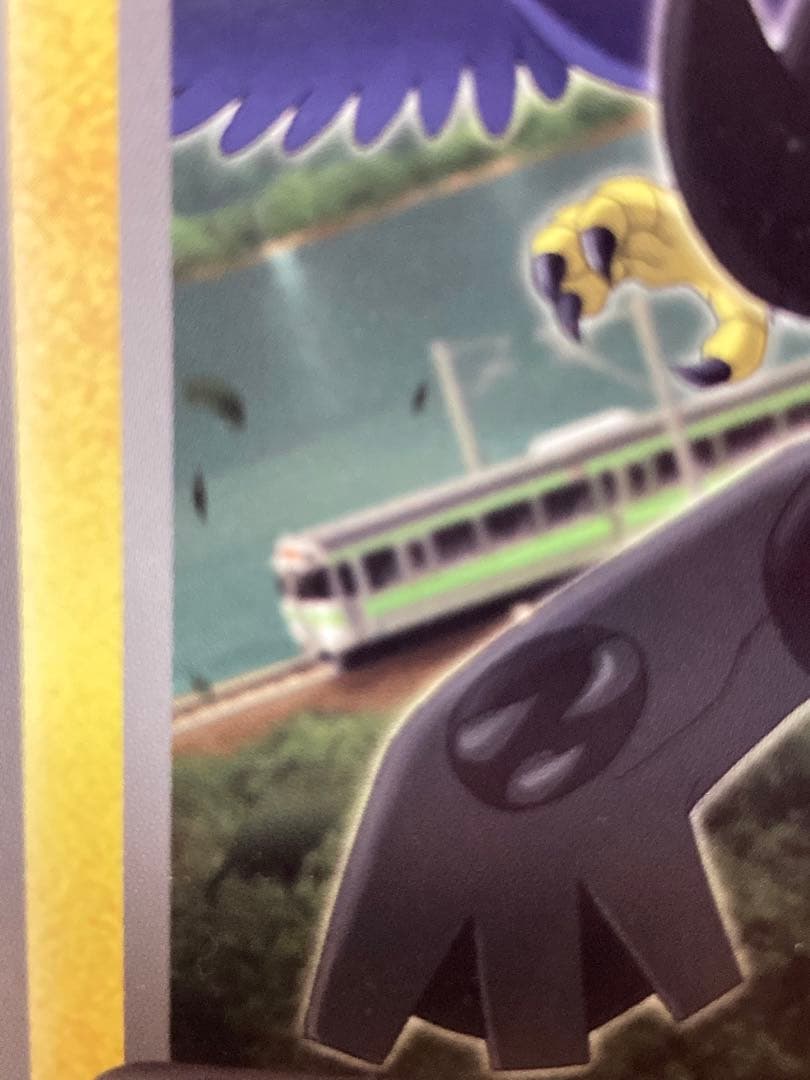 希少　ジャンボカード　ゼクロム jr北海道　ポケモン調査隊2011　プロモ