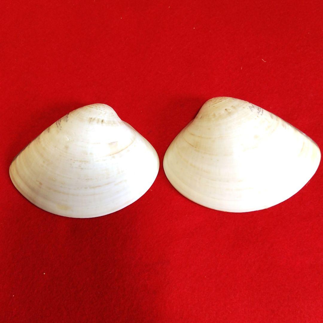 手描き 貝合わせ はまぐり桑名産 香合 源氏物語絵巻和歌 9.3×7