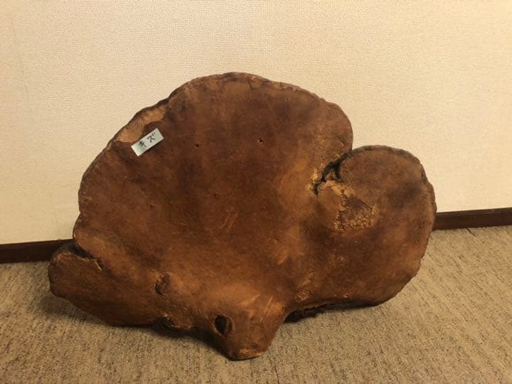 さるのこしかけ