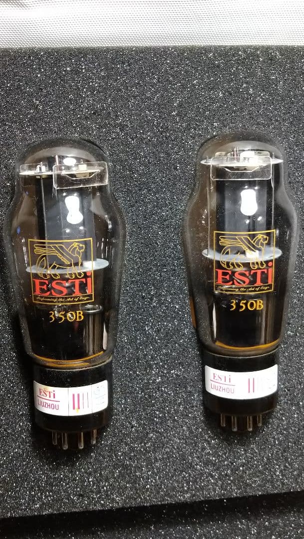 350B／6L6G.２本組、中国製