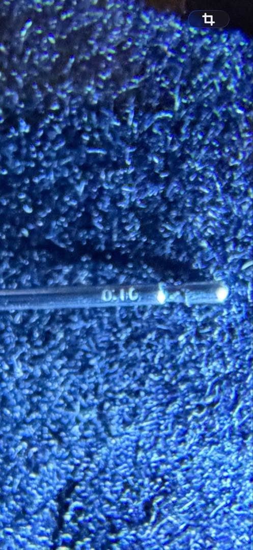 Pt900 一粒ダイヤスタッドピアス