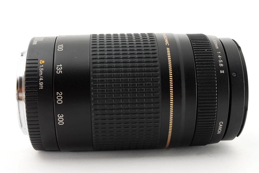 フード付き/人気の望遠レンズ /キヤノン/Canon EF75-300㎜