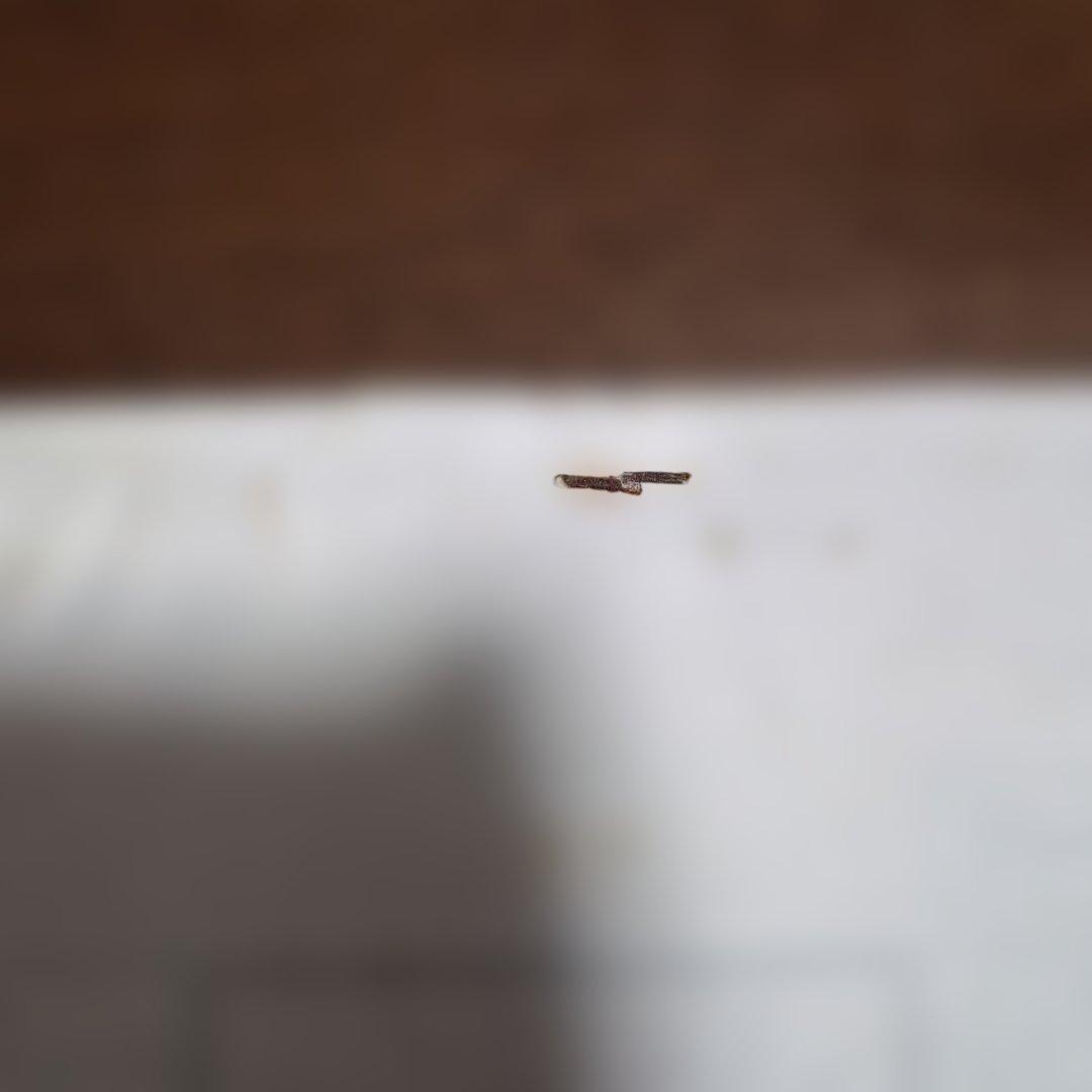 ドラゴンボールZ 第258話　絵コンテ　鳥山明