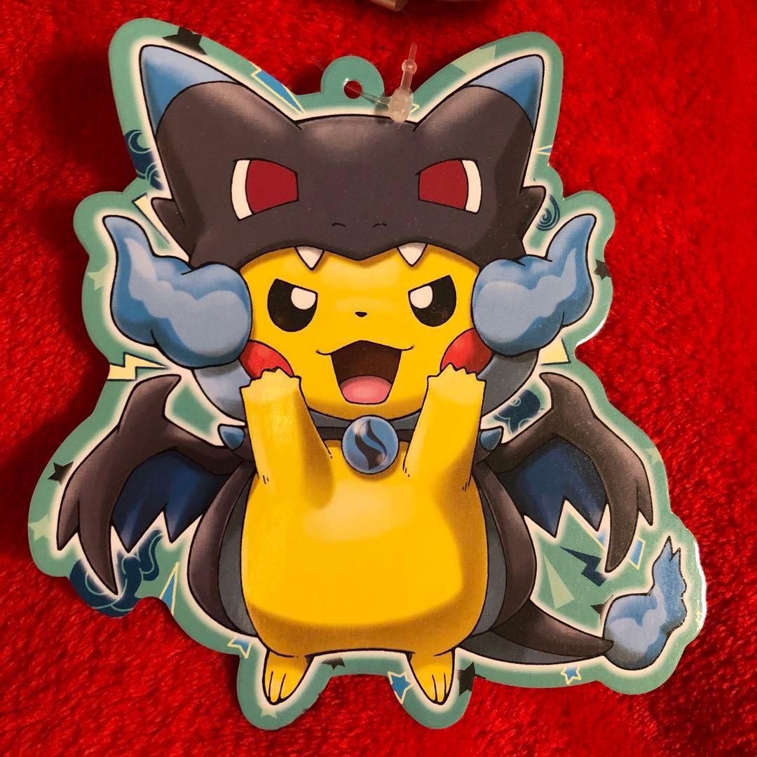 ポケモンセンター　ぬいぐるみ　メガリザードンXのポンチョを着たピカチュウ