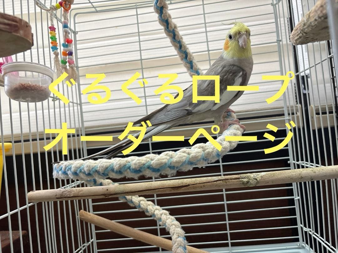 ハンドメイド インコ大好き ぐるぐるロープ オーダーページ
