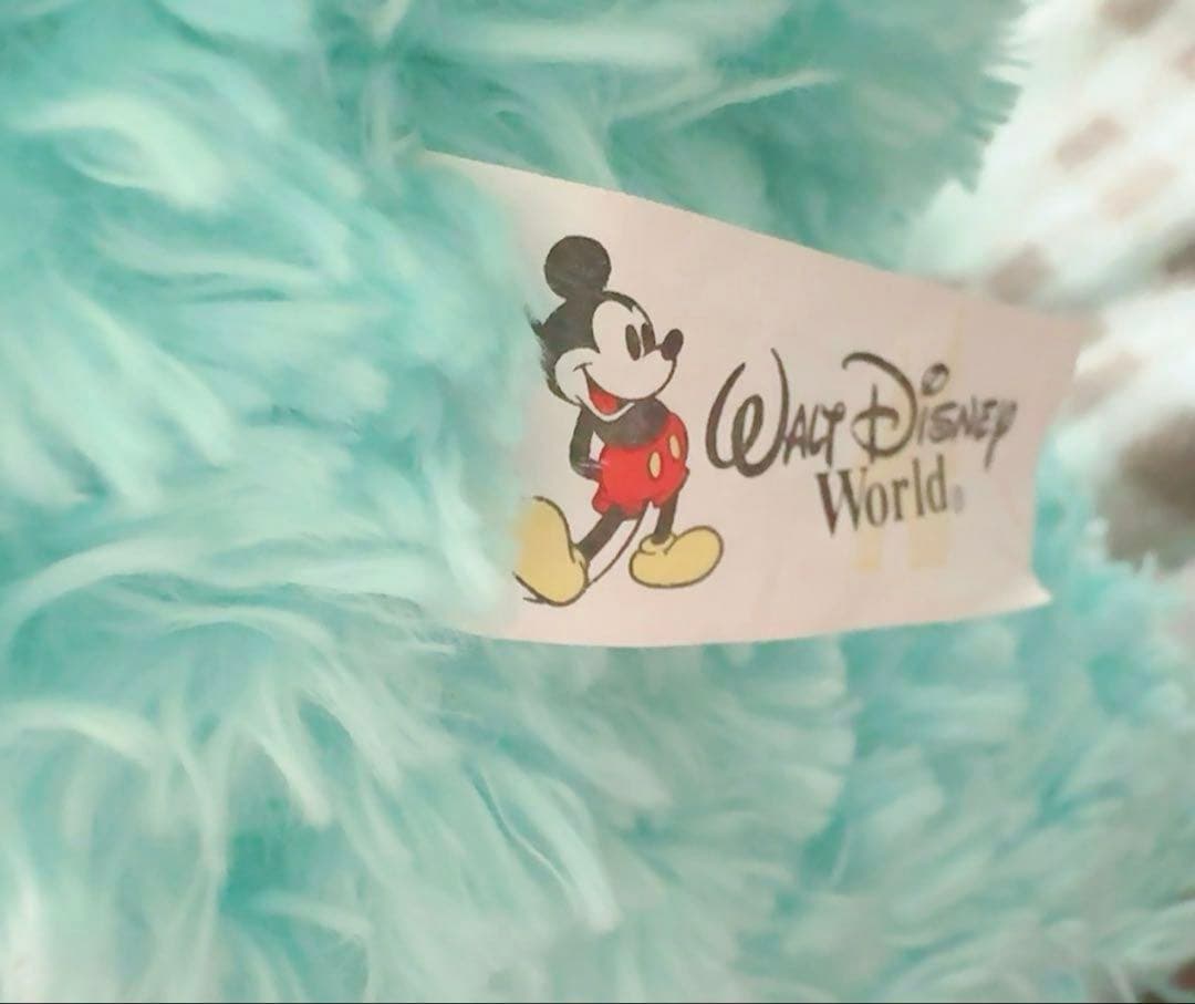 WDW ダッフィー ディズニーベア カラーダッフィー ミント