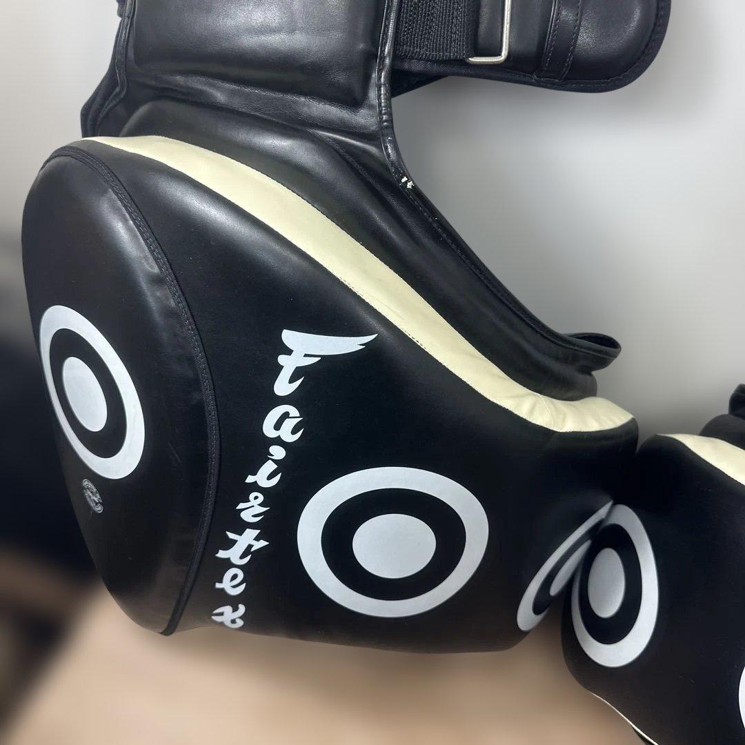 フェアテックス ローキック用タイパッド