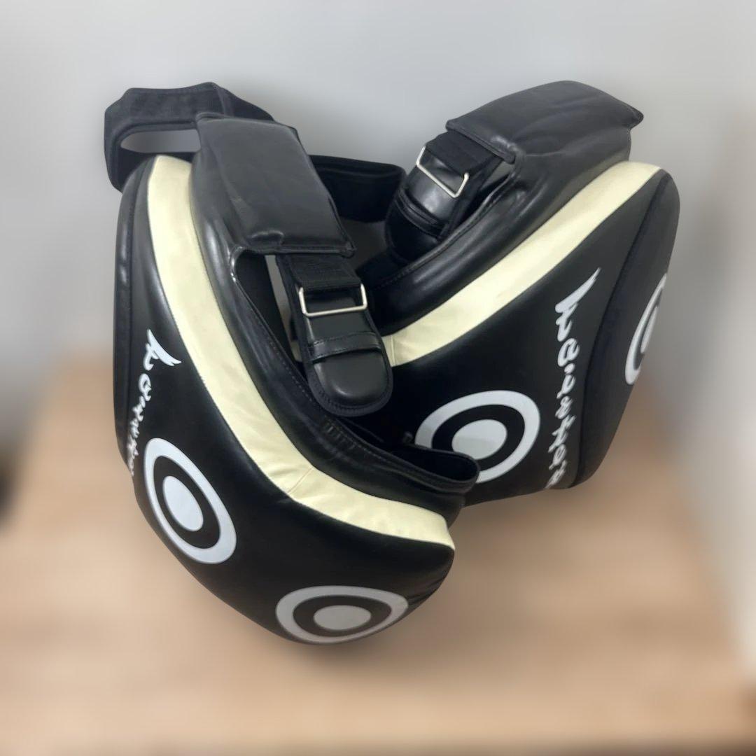 フェアテックス ローキック用タイパッド