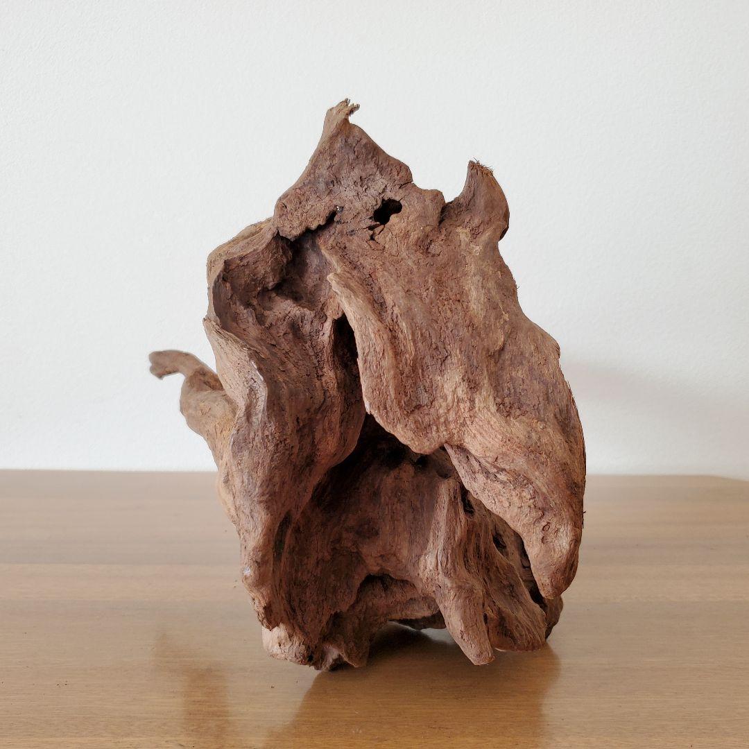 【353】流木　インテリアや爬虫類などに　止まり木　アクアリウム