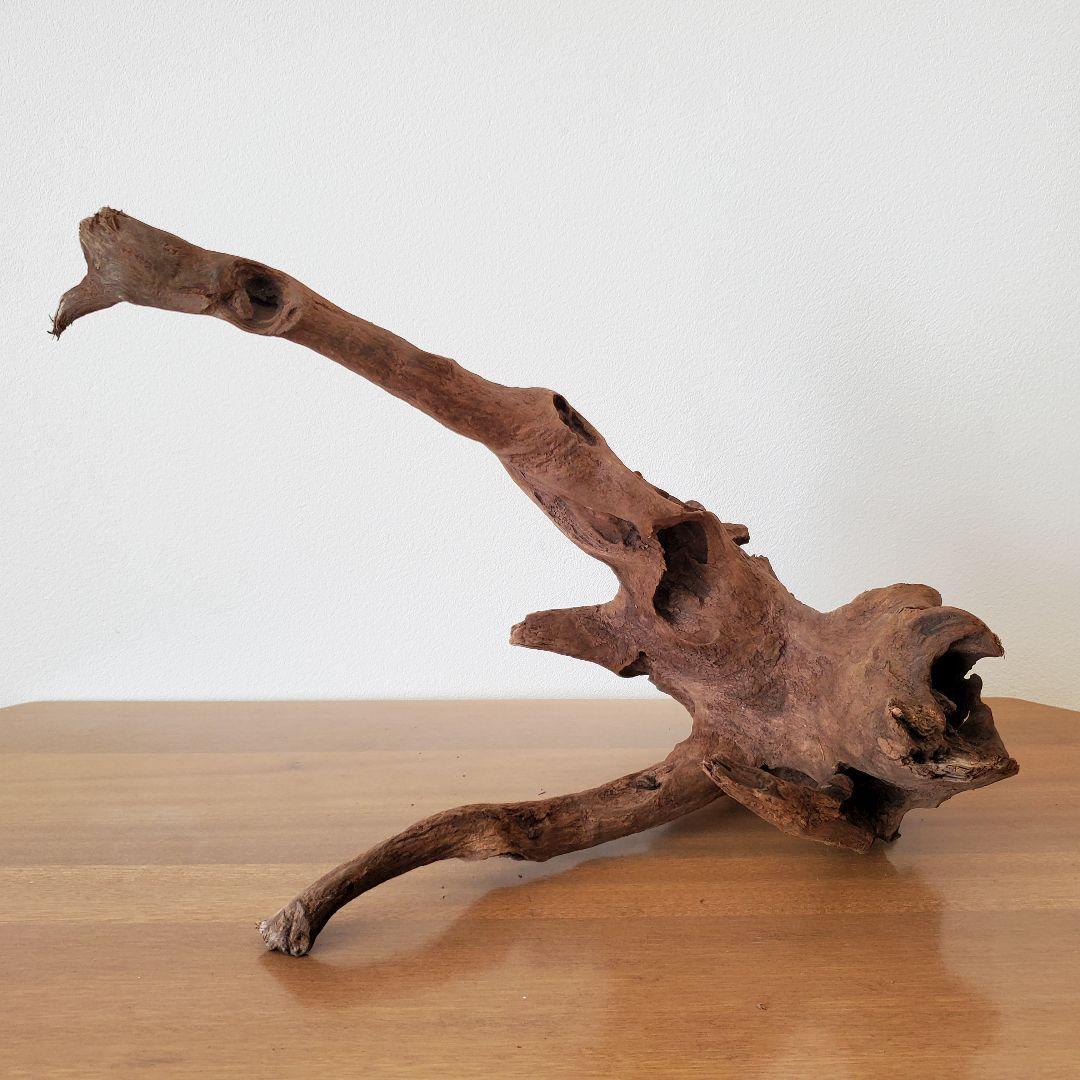 【353】流木　インテリアや爬虫類などに　止まり木　アクアリウム