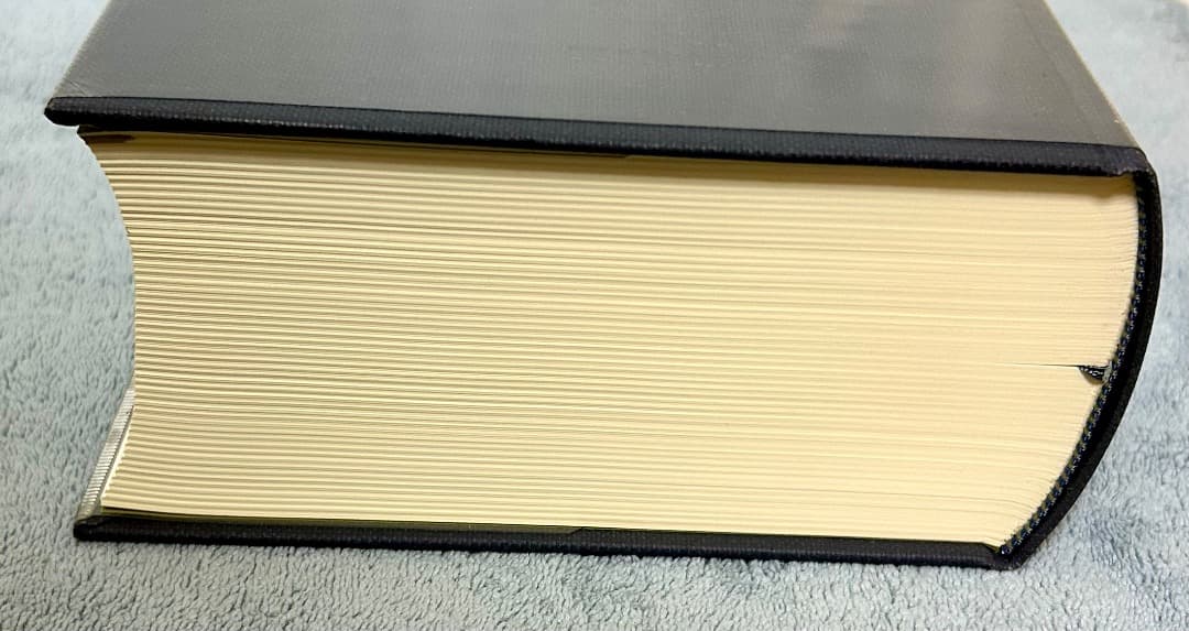 現代社会学事典 弘文堂 見田宗介 大澤真幸 吉見俊哉 鷲田清一