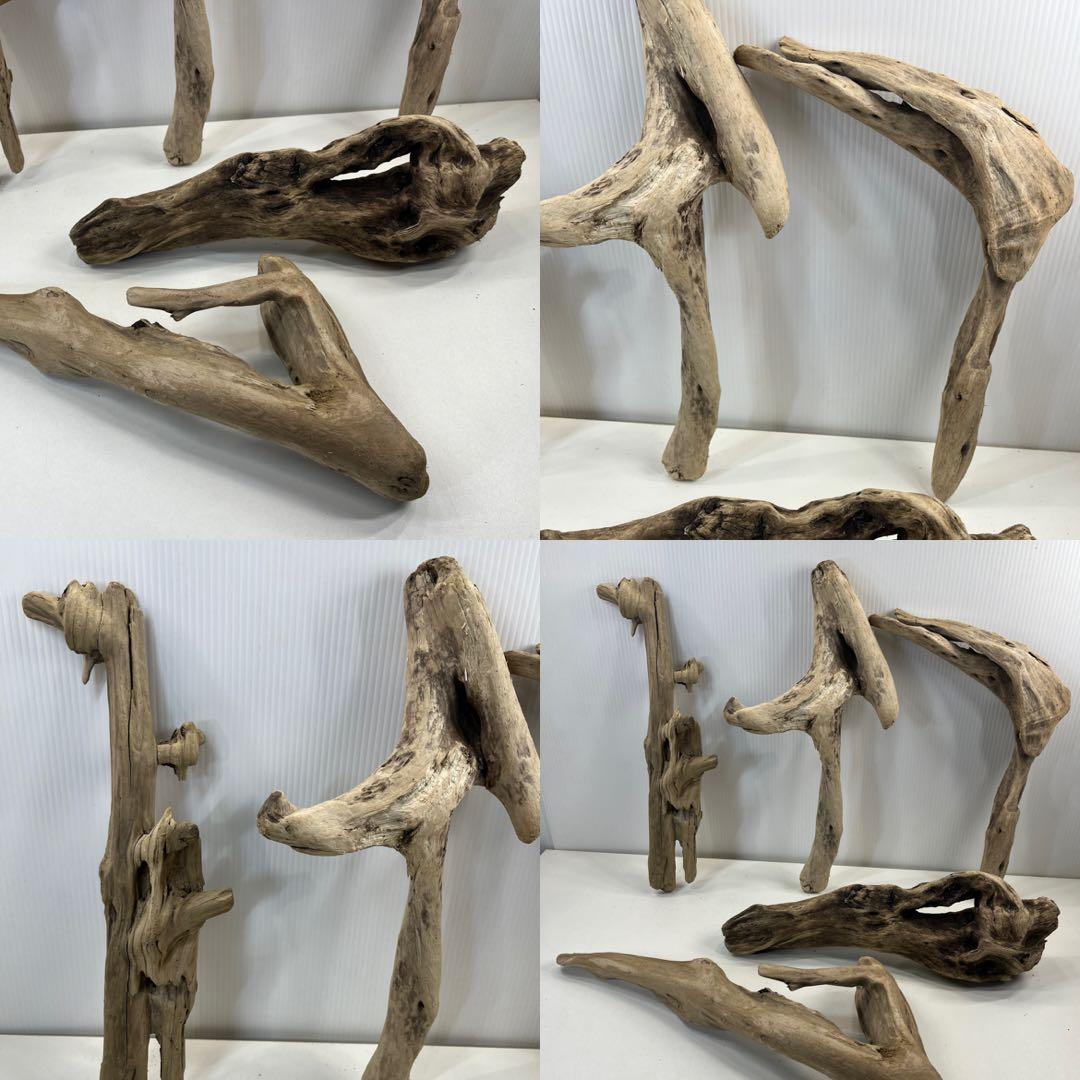 t55アク抜き済み流木セット 爬虫類シェルター 登り木 インテリア エアプランツ