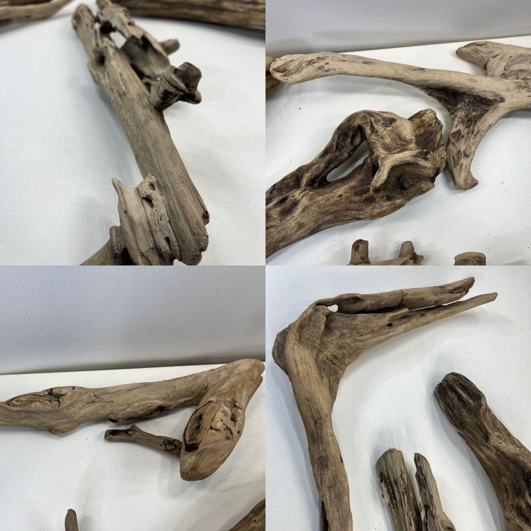 t55アク抜き済み流木セット 爬虫類シェルター 登り木 インテリア エアプランツ