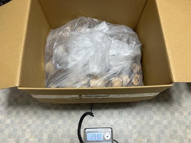 北海道産シカ角おやつ 29kg