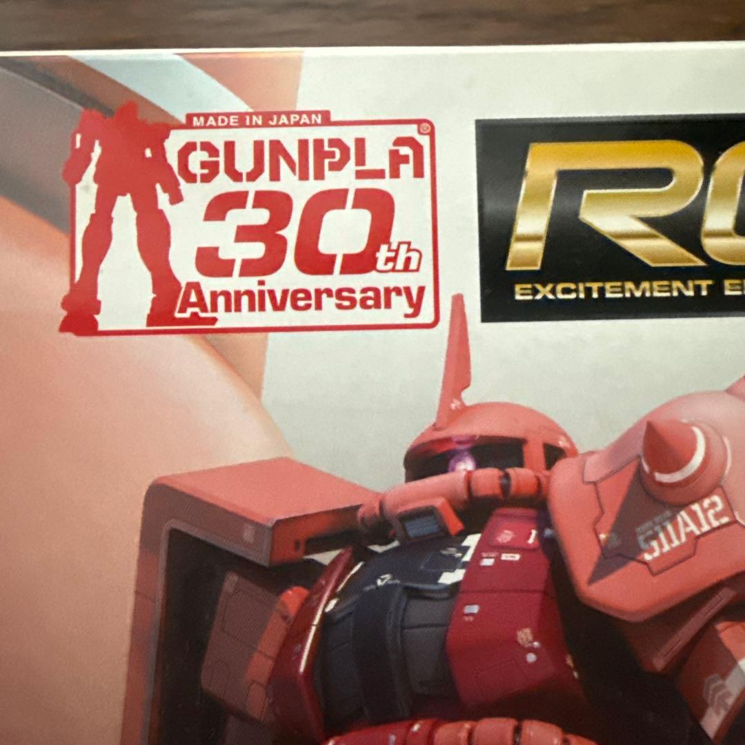 RG MS-06S ZAKU II シャア専用