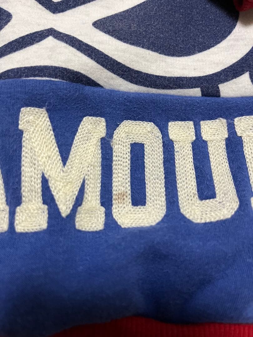 ヒスミニ まとめ売り 90cm~110cm