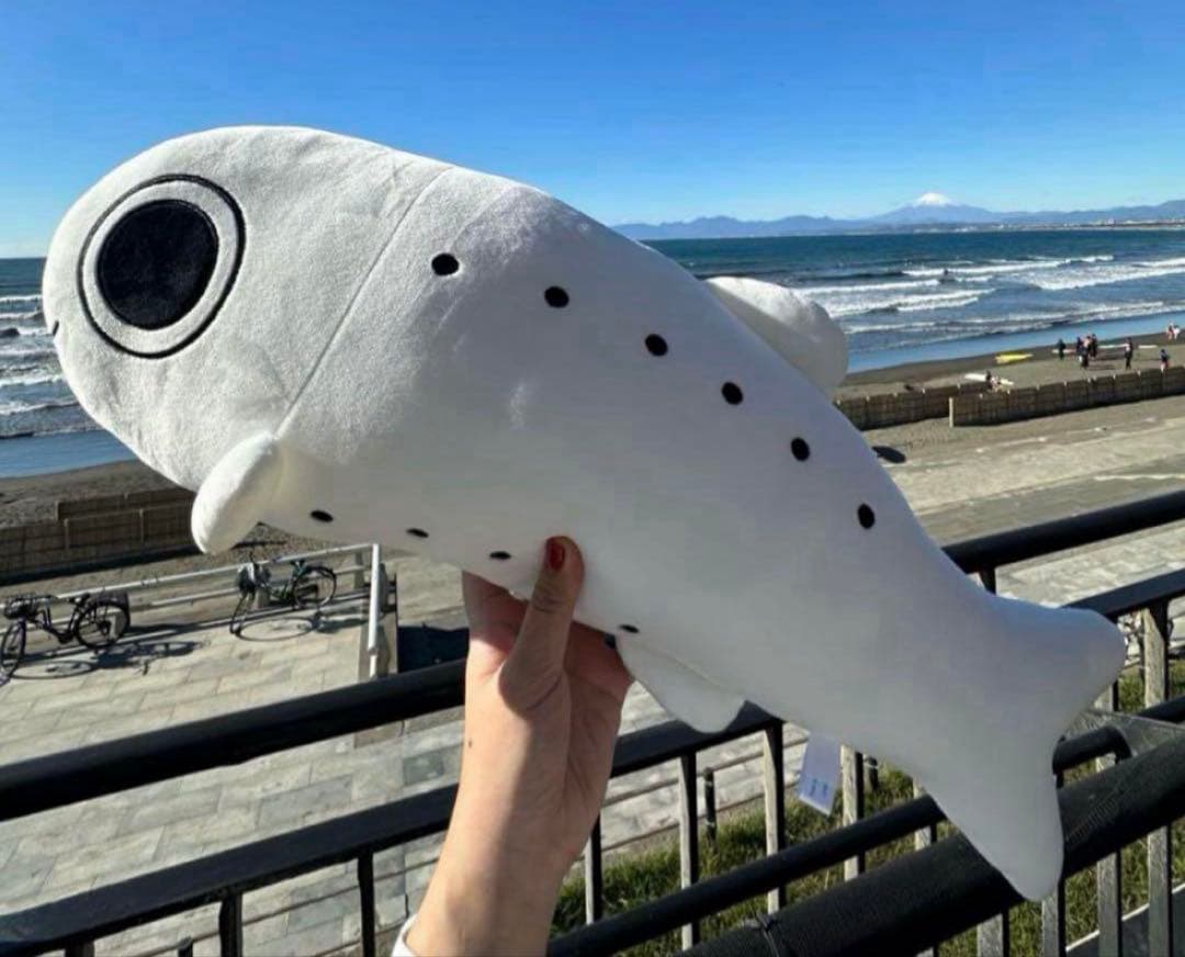 2等　しらす　ぬいぐるみ　新江ノ島水族館　えのすい　シラスくじ