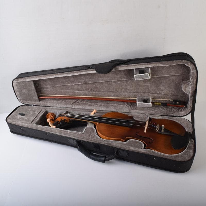 弦楽器　バイオリン　ハルシュタット　ハードケース付　F　R7934C