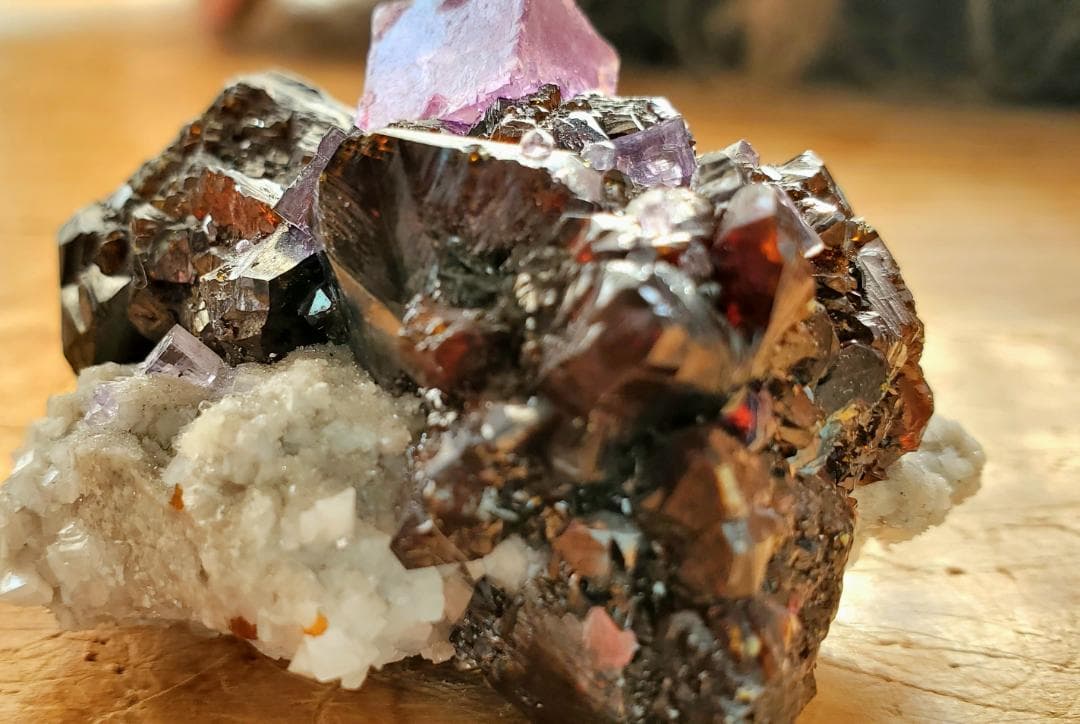 【コレクターズアイテム】エルムウッドフローライト