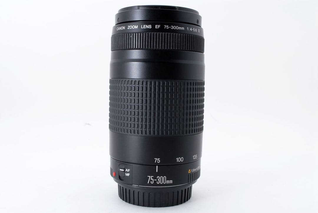 スポーツ☆望遠レンズ☆イベント☆Canon EF75-300㎜