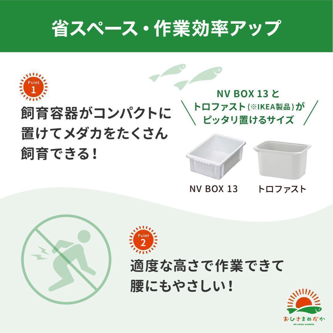 SALE★メダカ飼育ラック白2段12個置き★ めだか飼育棚NVBOXビオトープ