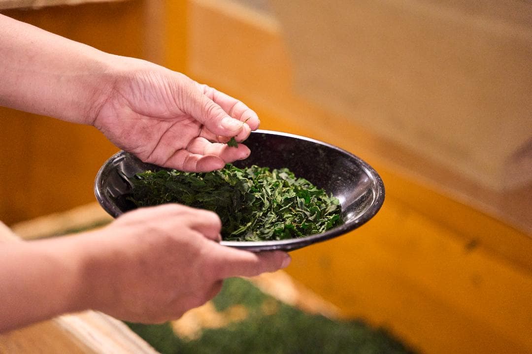 【3缶セット】京都和束町産のオーガニック抹茶缶（シングルオリジン）