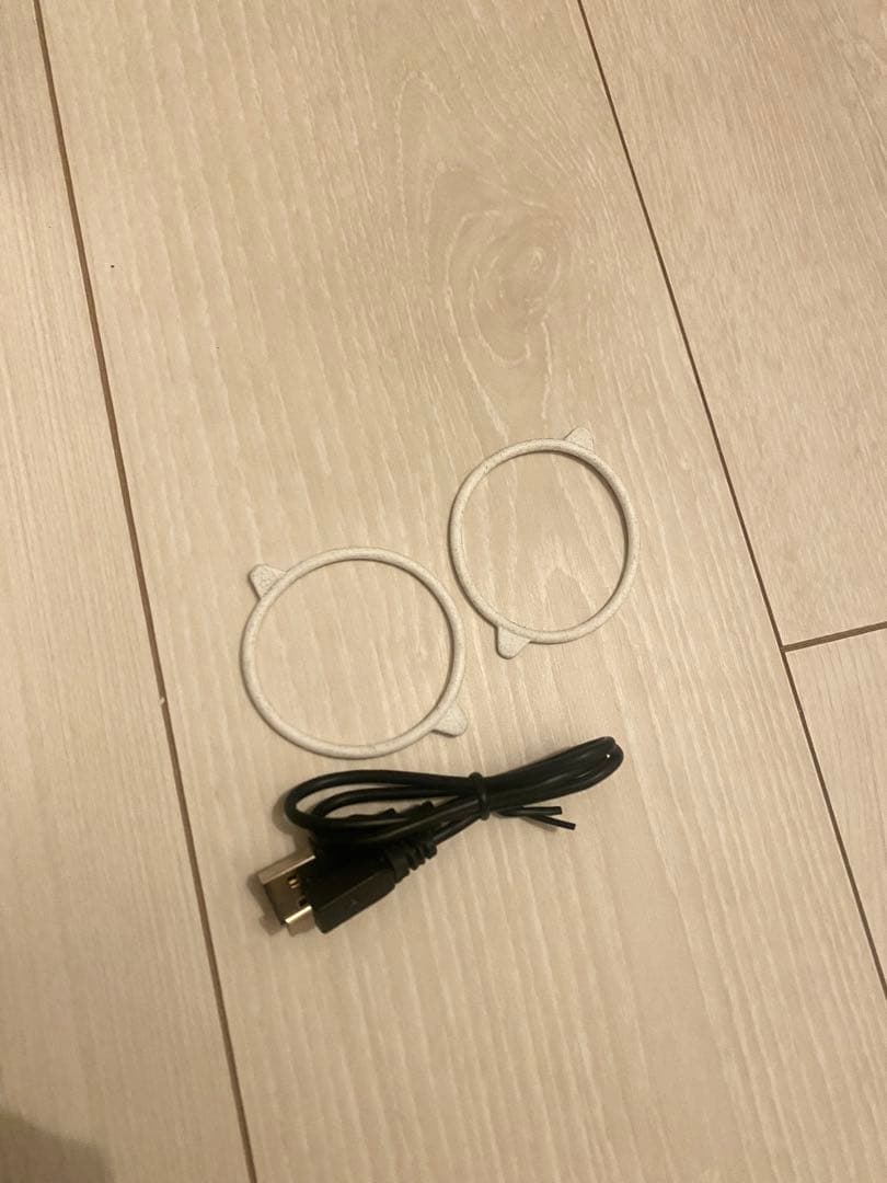 PAS RIRE 美顔器 USB充電式