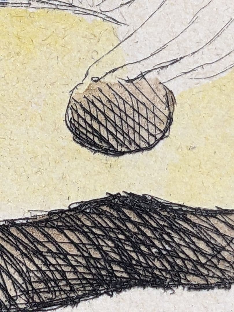 ♦マリー・ローランサン ギターを持つ少女 フランス女流画家 アート コレクション