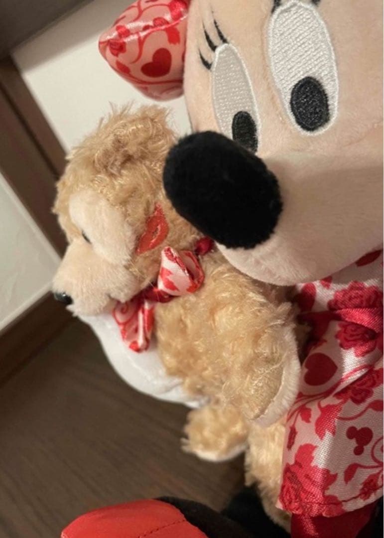 フロリダディズニー ミッキー ミニー ダッフィ ぬいぐるみ 2点セット