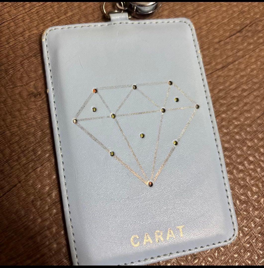 【激レア】SEVENTEEN★フラッシュパスケース