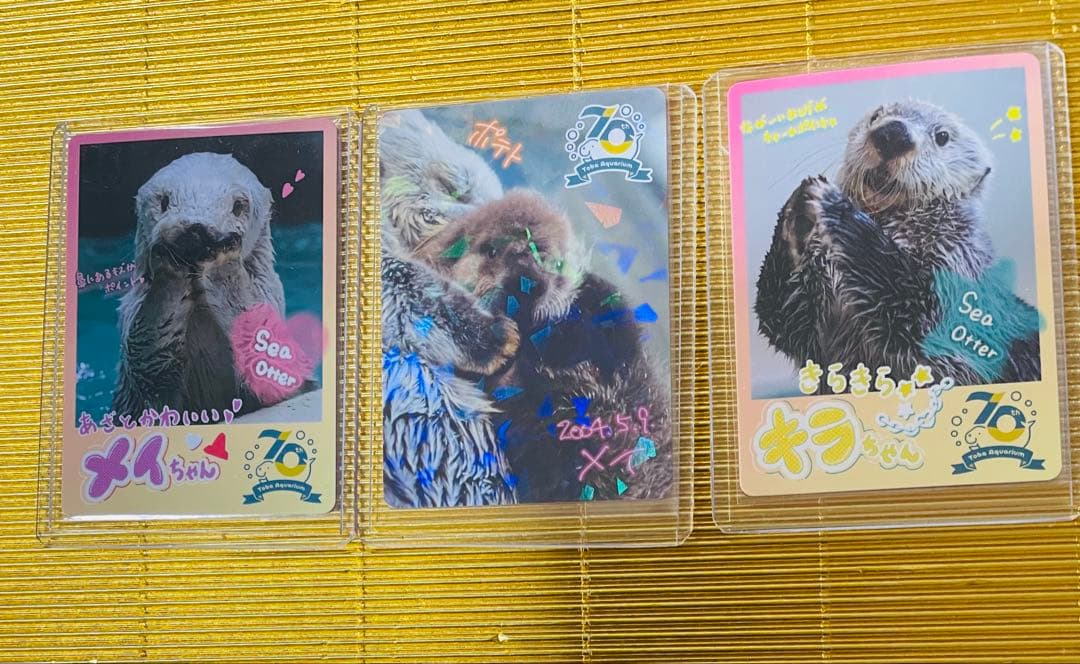 鳥羽水族館⭐️70周年記念 ⭐️コレクションカード ⭐️メイ（レアカード）セット