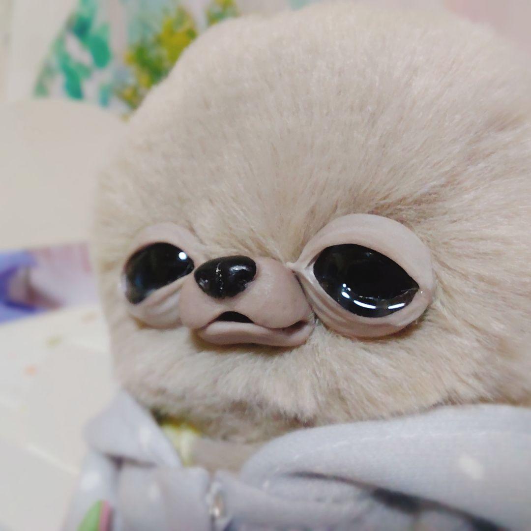 チワボボちゃん　泣き虫ちゃん　アートドール　ぬいぐるみ