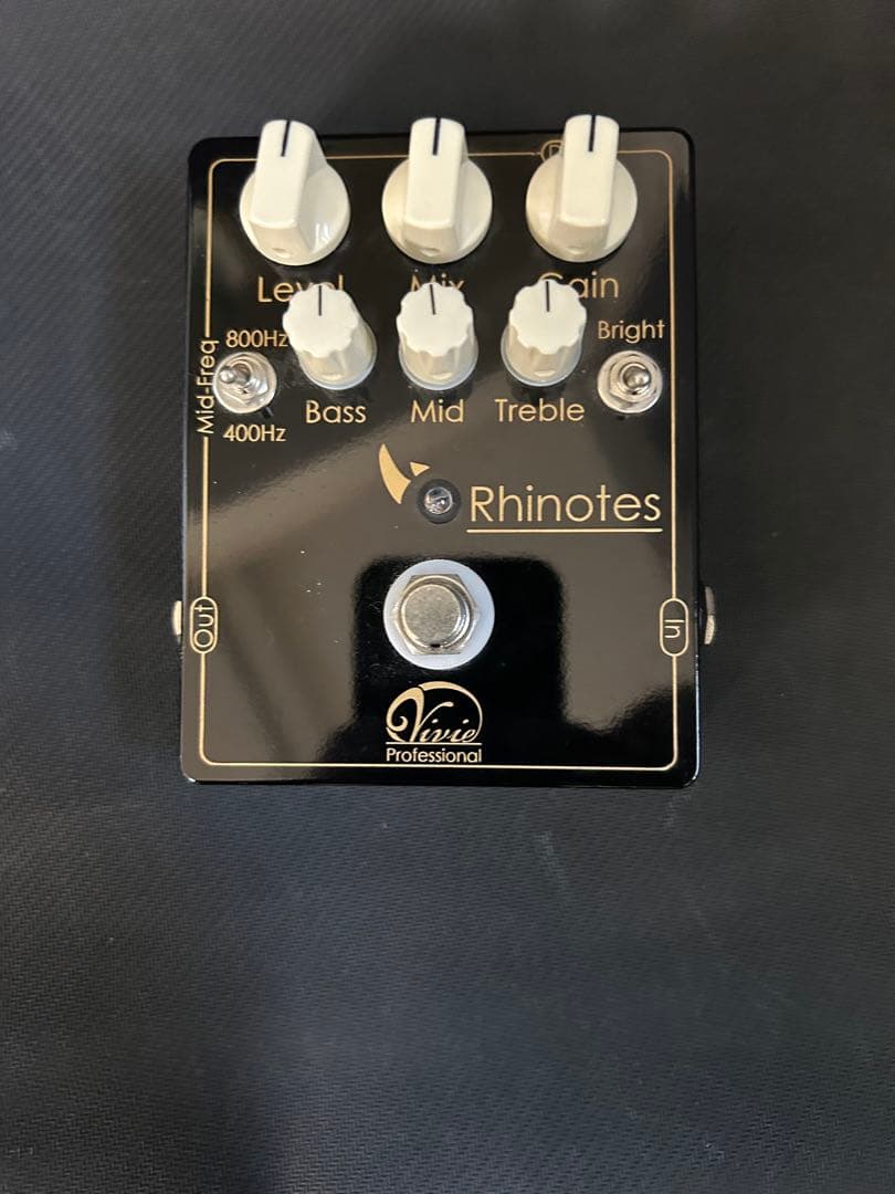 ギター Vivi Rhinotes