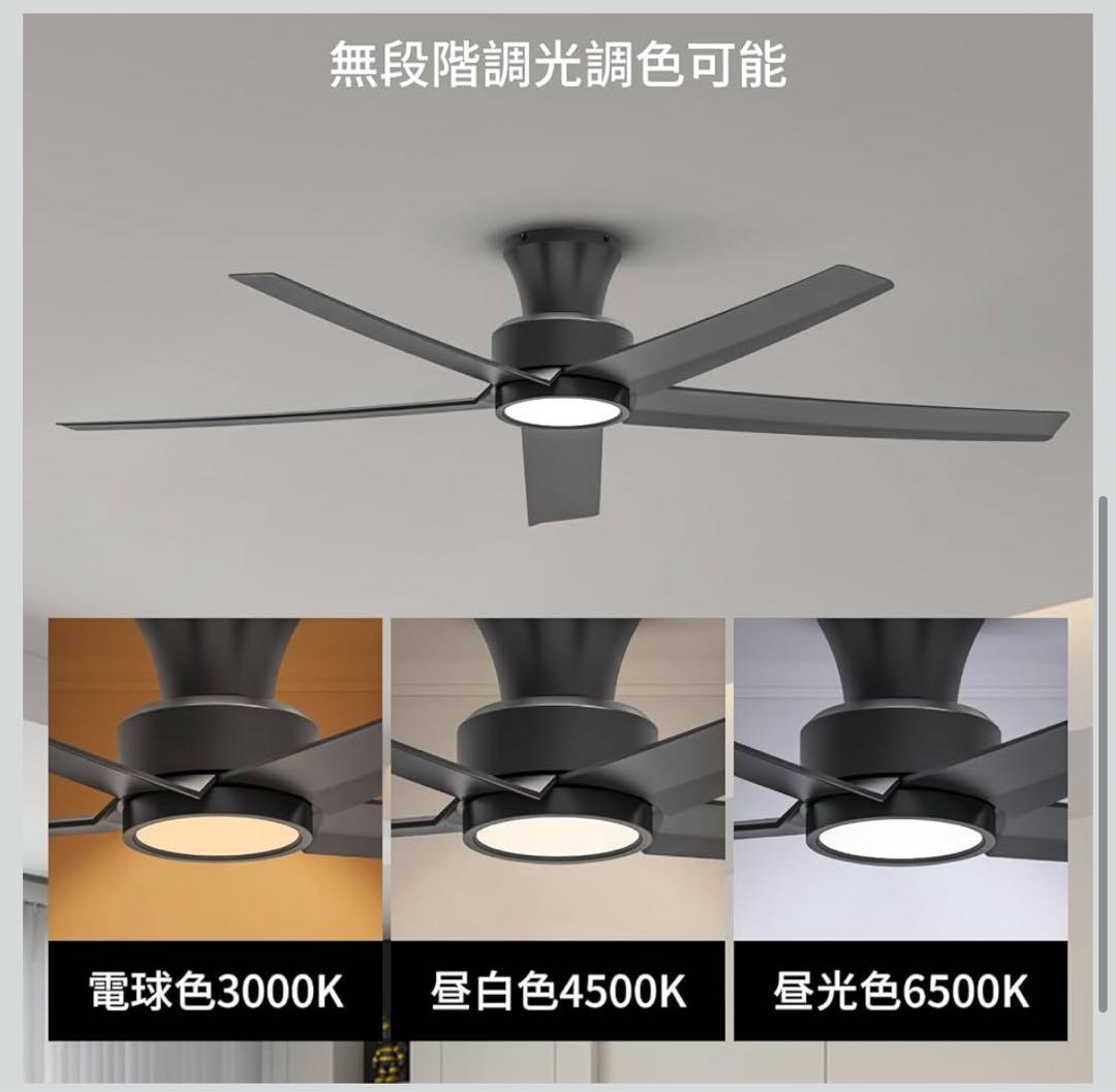 ブラックシーリングファンライト DCモーター