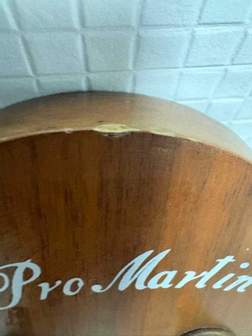 ProMartin EA350BS エレアコ