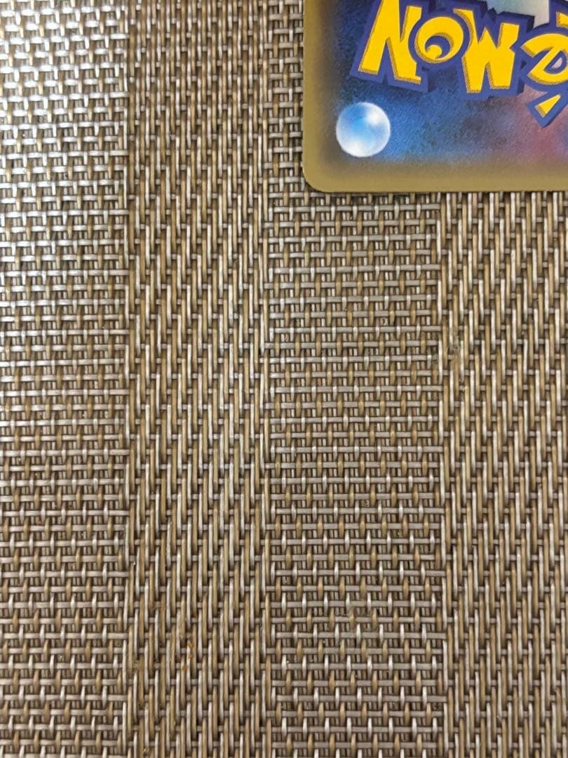 ポンチョを着たピカチュウ レックウザ