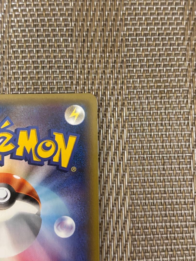 ポンチョを着たピカチュウ レックウザ