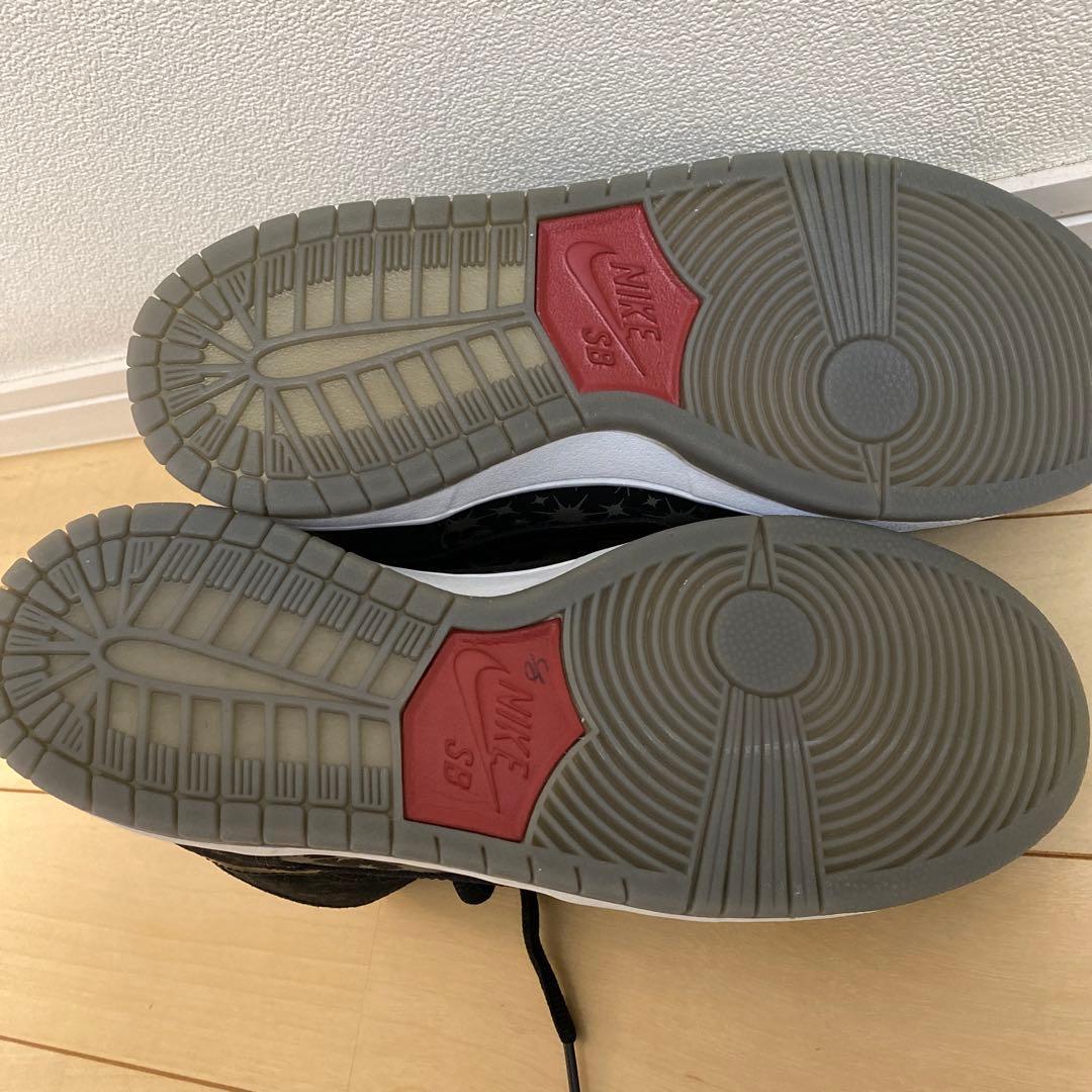 NIKE dunk sb hi ブルックリンプロジェクトパパラッチ8(26cm)