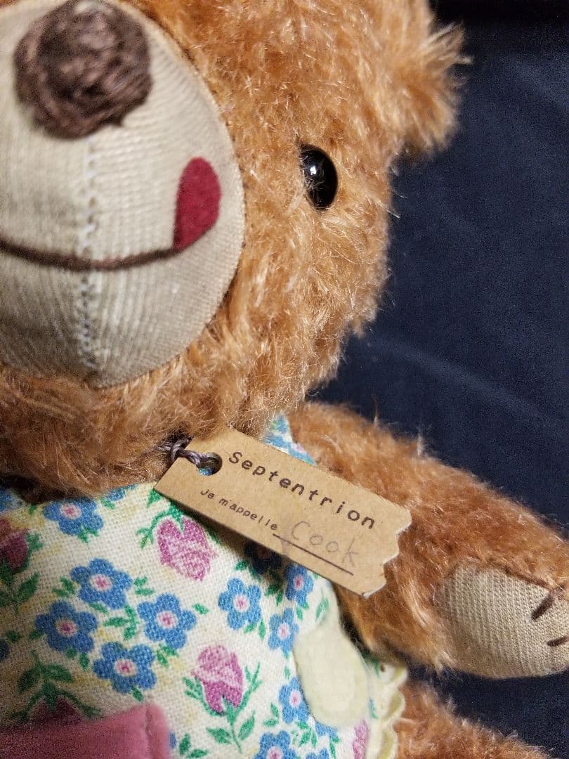 Septentrion やぐちせいこ様 テディベア アーティストベア